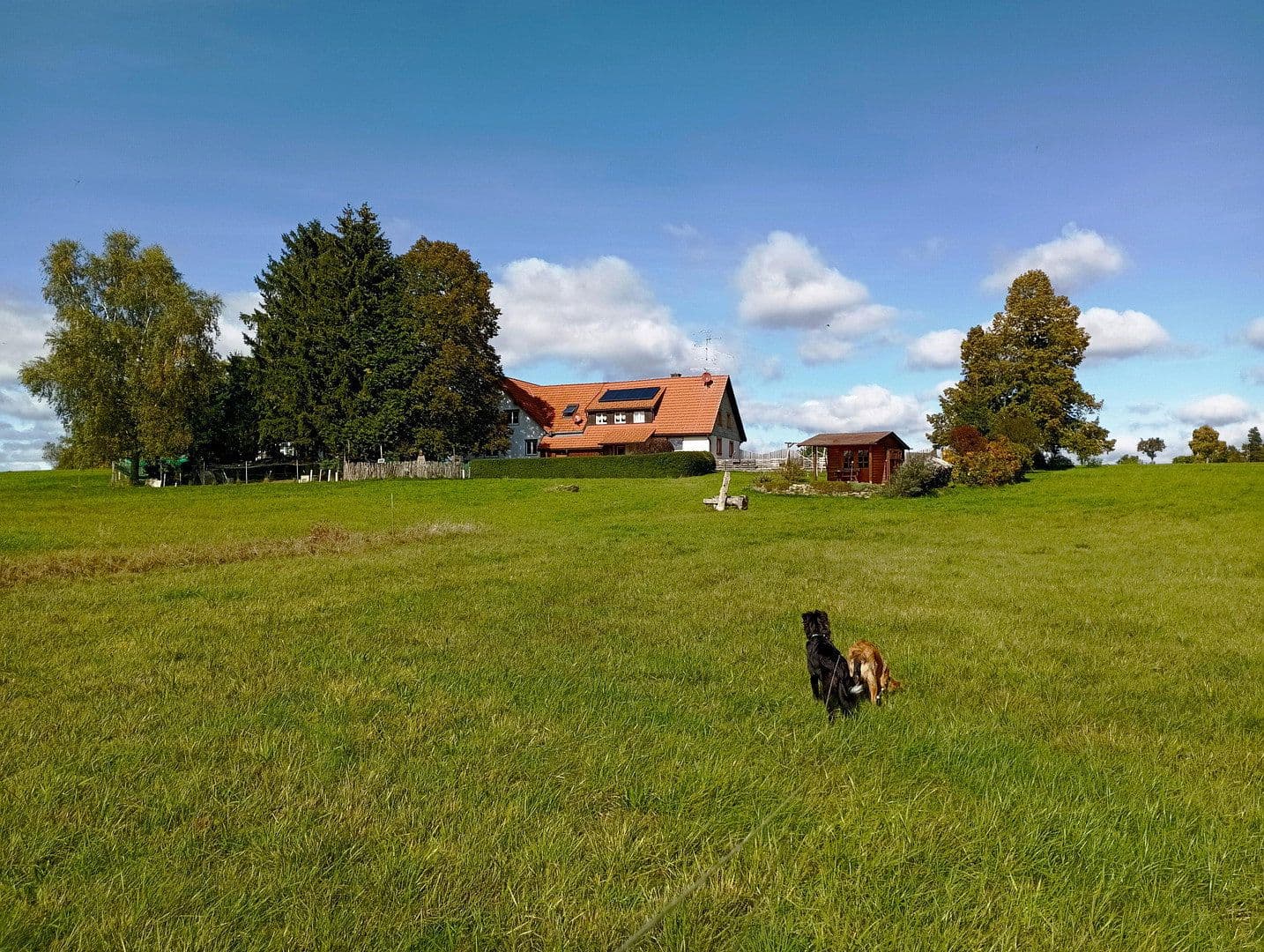 Pronájem domu 240 m², pozemek 2.300 m², Friedenweiler, Bádensko-Württembersko Pronájem domu 240 m², pozemek 2.300 m², Friedenweiler, Bádensko-Württembersko