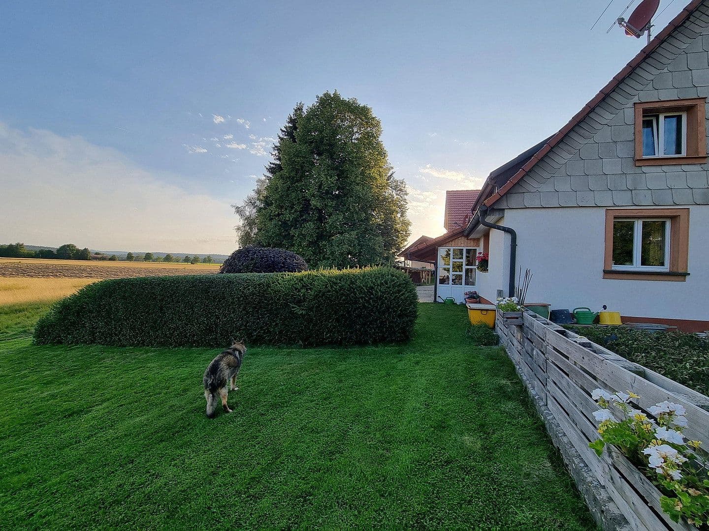 Pronájem domu 240 m², pozemek 2.300 m², Friedenweiler, Bádensko-Württembersko Pronájem domu 240 m², pozemek 2.300 m², Friedenweiler, Bádensko-Württembersko