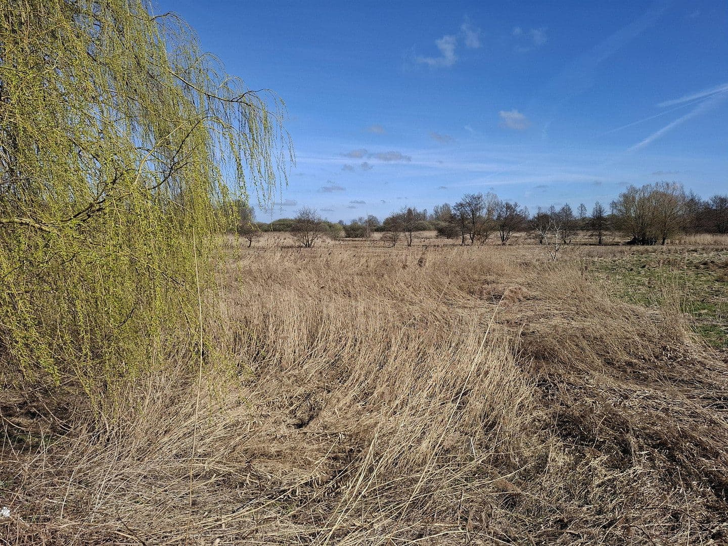 Prodej bytu 2+1 56 m², Grenzdamm 6, Pinneberg, Šlesvicko-Holštýnsko Prodej bytu 2+1 56 m², Grenzdamm 6, Pinneberg, Šlesvicko-Holštýnsko