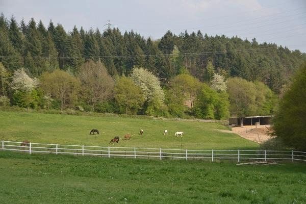 Prodej pozemku 180.000 m², Boppard, Porýní-Falc Prodej pozemku 180.000 m², Boppard, Porýní-Falc