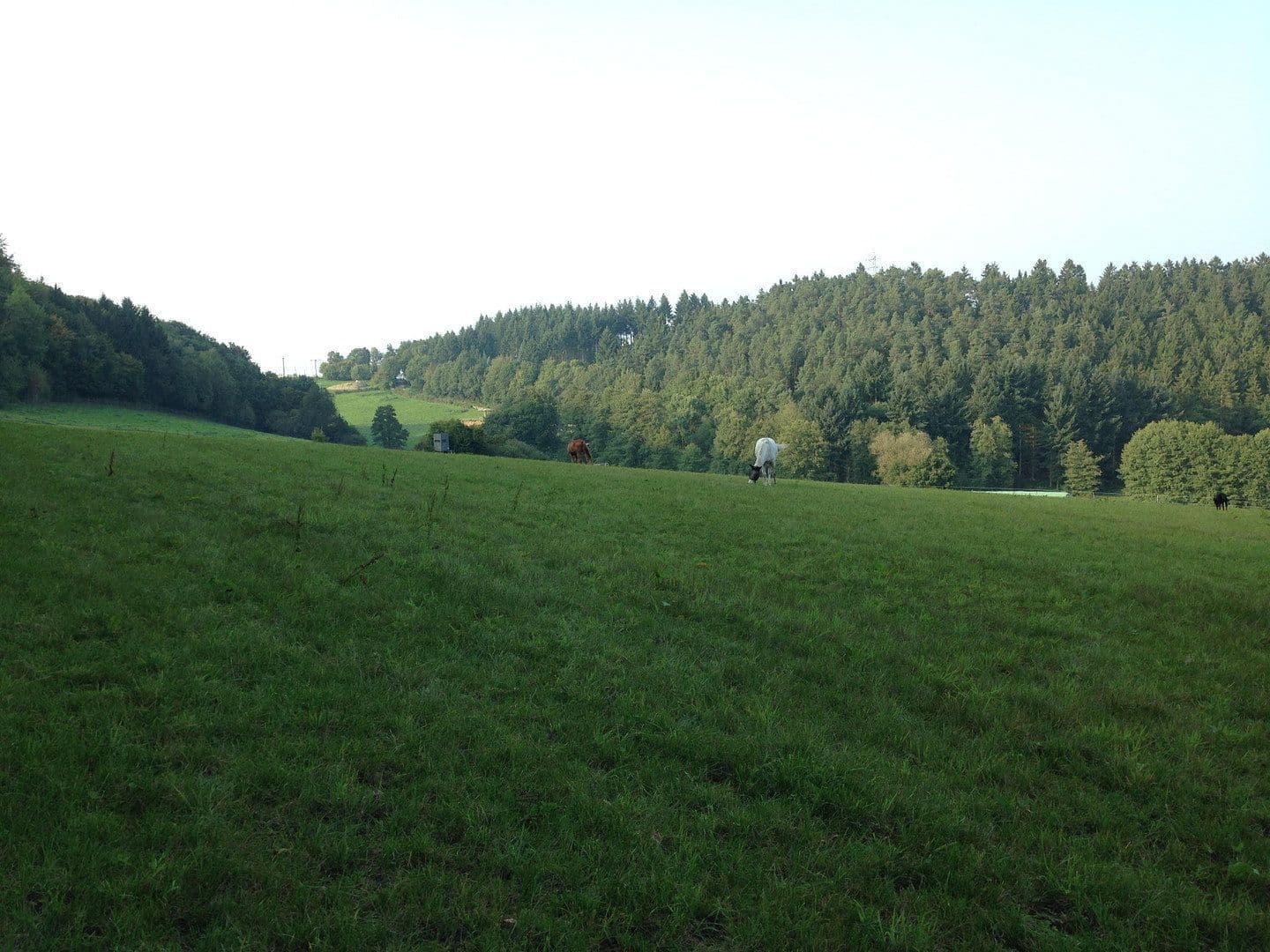 Prodej pozemku 180.000 m², Boppard, Porýní-Falc Prodej pozemku 180.000 m², Boppard, Porýní-Falc