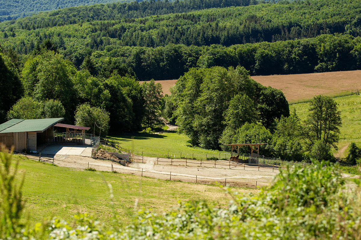 Prodej pozemku 180.000 m², Boppard, Porýní-Falc Prodej pozemku 180.000 m², Boppard, Porýní-Falc