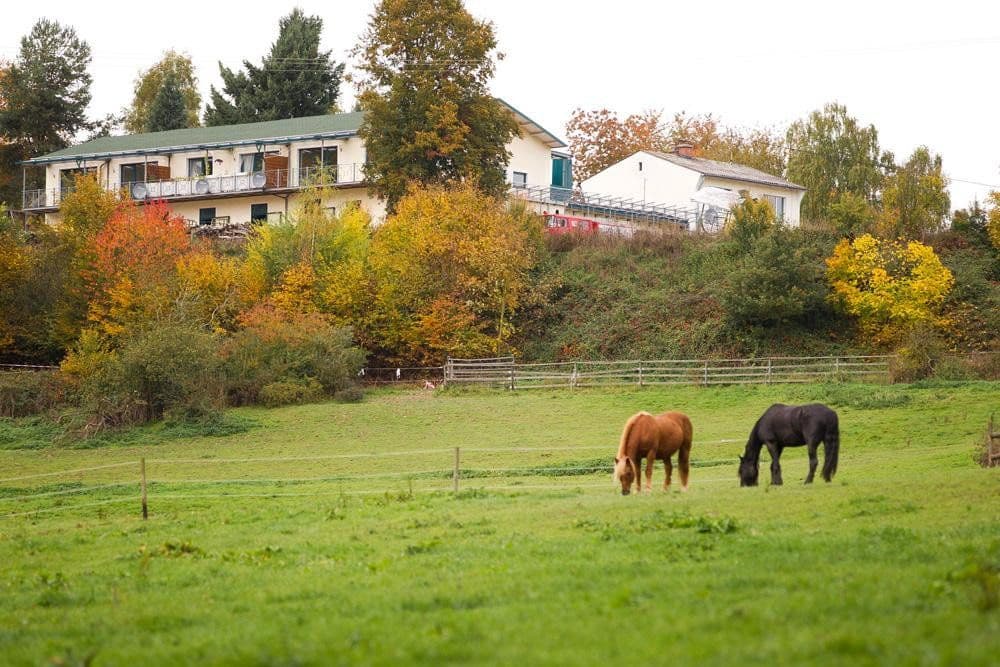 Prodej pozemku 180.000 m², Boppard, Porýní-Falc Prodej pozemku 180.000 m², Boppard, Porýní-Falc