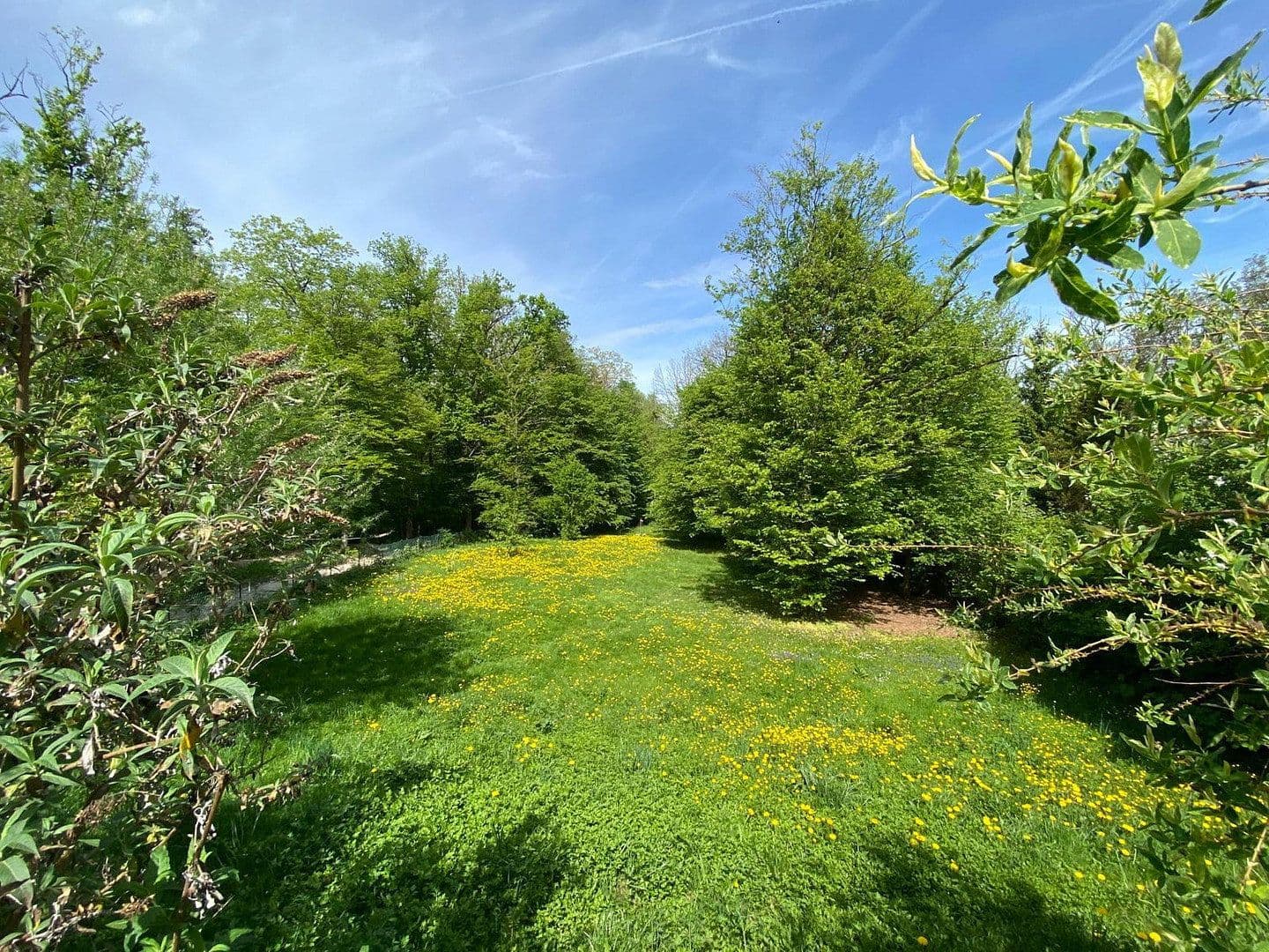 Prodej domu 143 m², pozemek 1.770 m², Hersbruck, Bavorsko Prodej domu 143 m², pozemek 1.770 m², Hersbruck, Bavorsko
