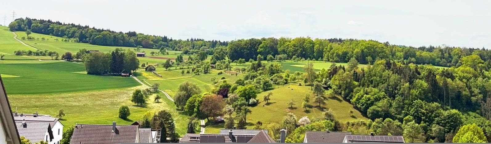 Prodej bytu 3+1 79 m², Calw, Bádensko-Württembersko Prodej bytu 3+1 79 m², Calw, Bádensko-Württembersko