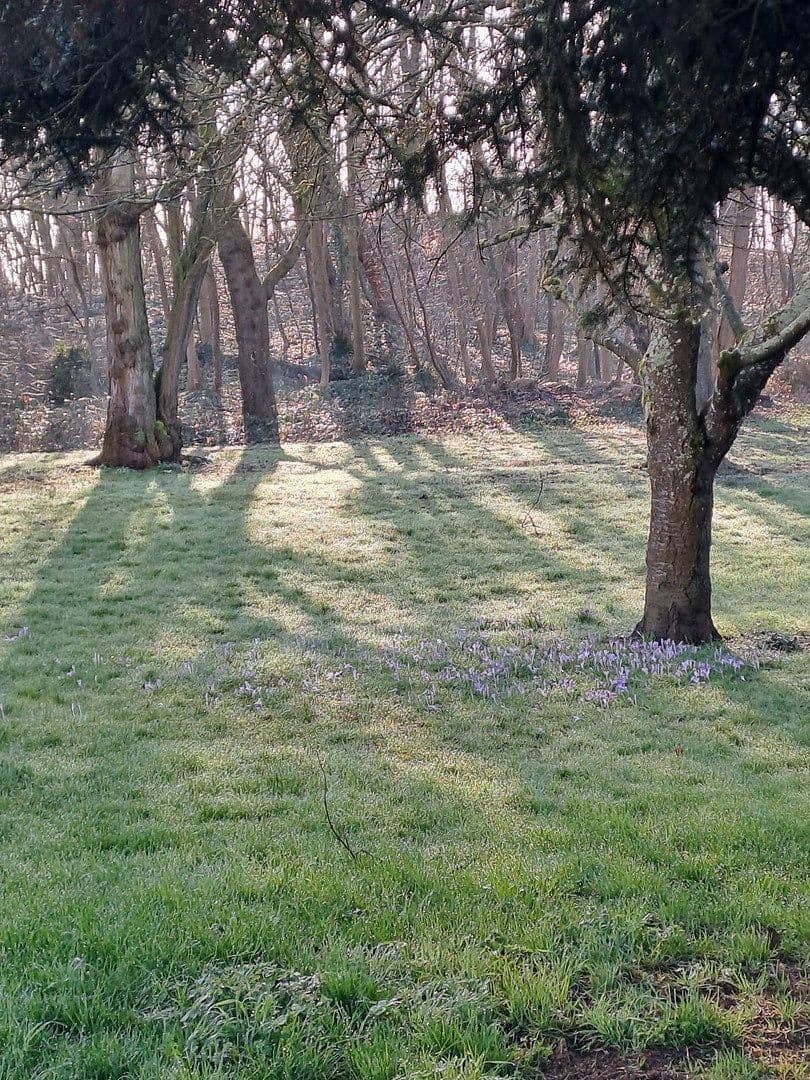 Prodej domu 166 m², pozemek 218 m², Rastatt, Bádensko-Württembersko Prodej domu 166 m², pozemek 218 m², Rastatt, Bádensko-Württembersko