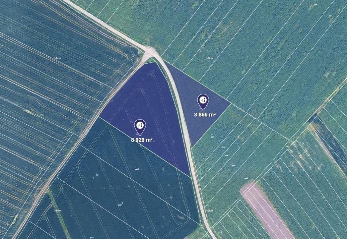 Prodej pozemku 4.265 m², Velké Němčice, Jihomoravský kraj Prodej pozemku 4.265 m², Velké Němčice, Jihomoravský kraj