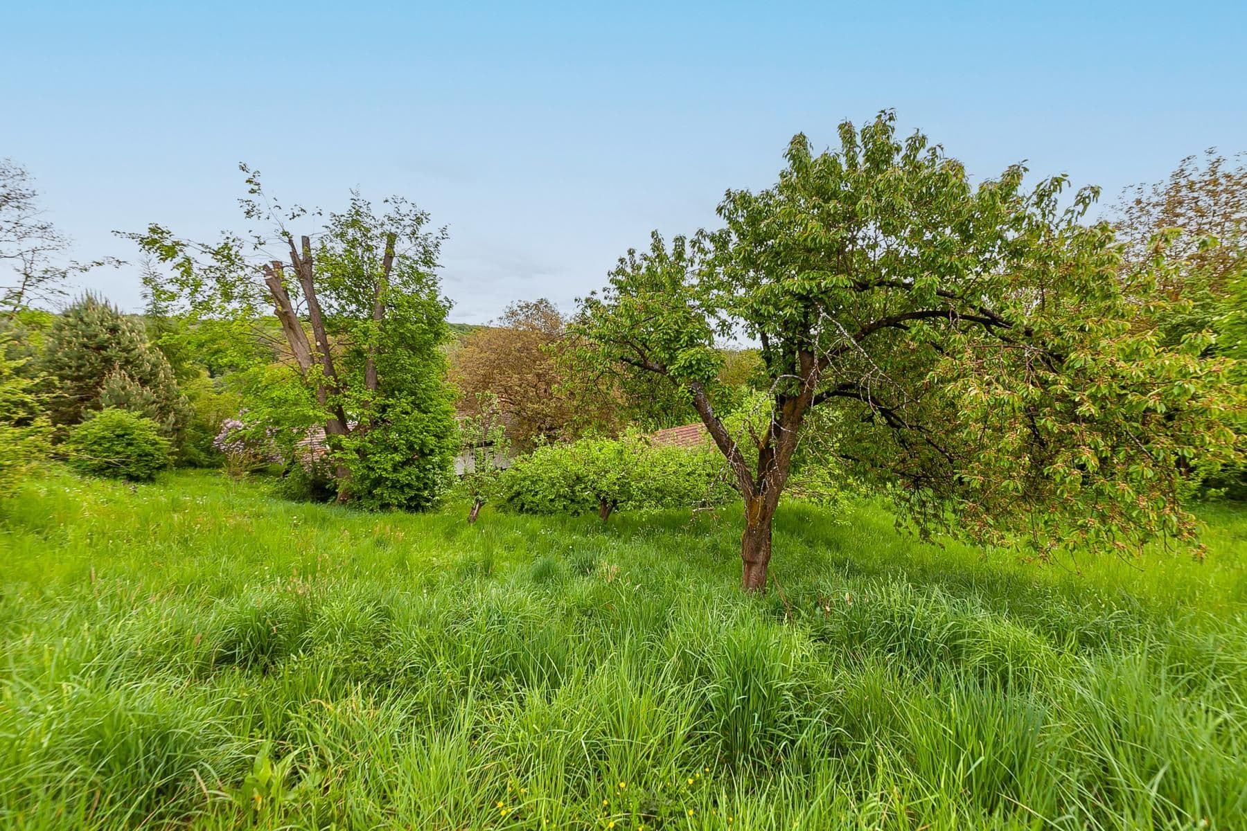 Prodej domu 196 m², pozemek 3.460 m², Staré Hrady, Královéhradecký kraj Prodej domu 196 m², pozemek 3.460 m², Staré Hrady, Královéhradecký kraj