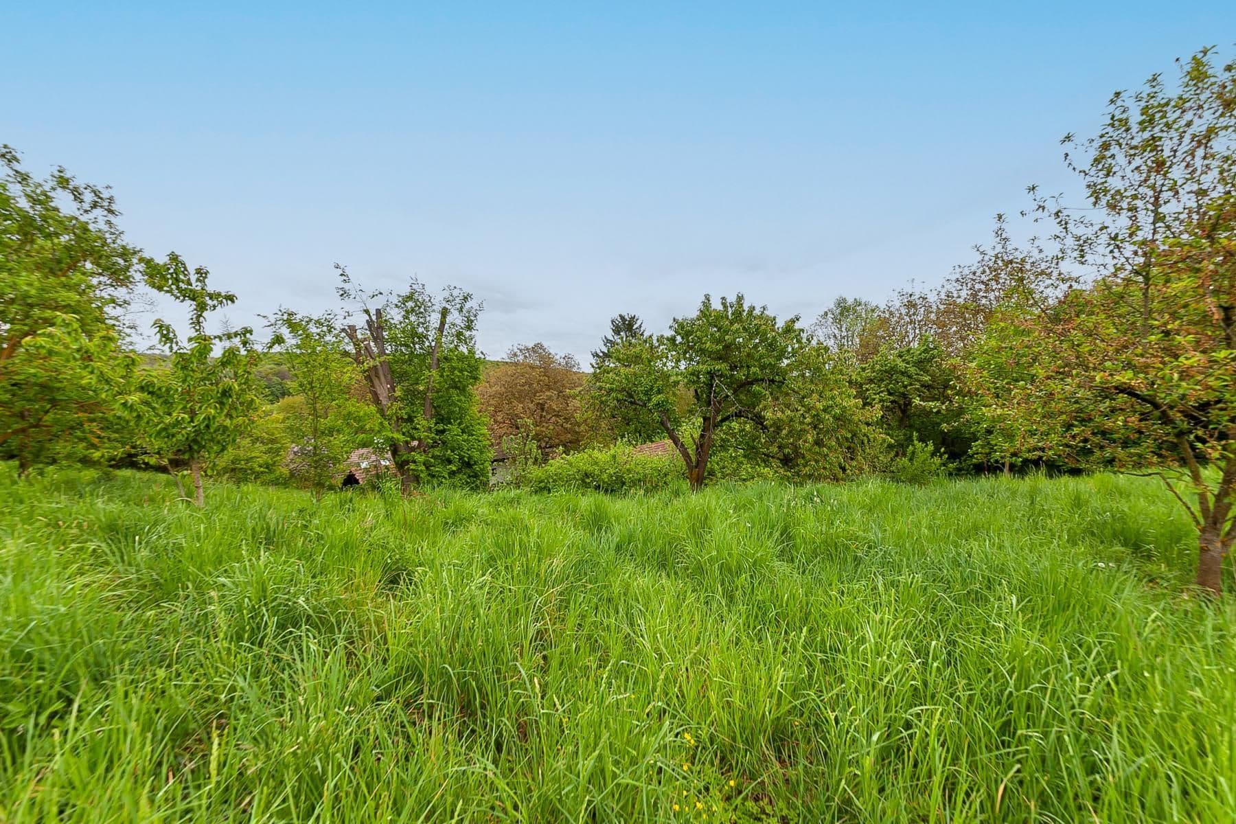 Prodej domu 196 m², pozemek 3.460 m², Staré Hrady, Královéhradecký kraj Prodej domu 196 m², pozemek 3.460 m², Staré Hrady, Královéhradecký kraj
