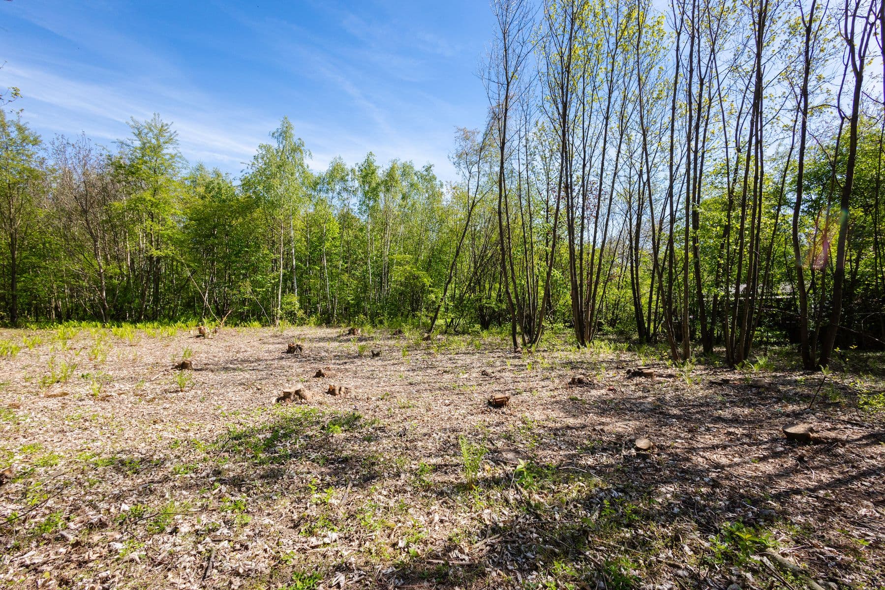 Prodej pozemku 1.864 m², Boušova, Praha, Praha Prodej pozemku 1.864 m², Boušova, Praha, Praha