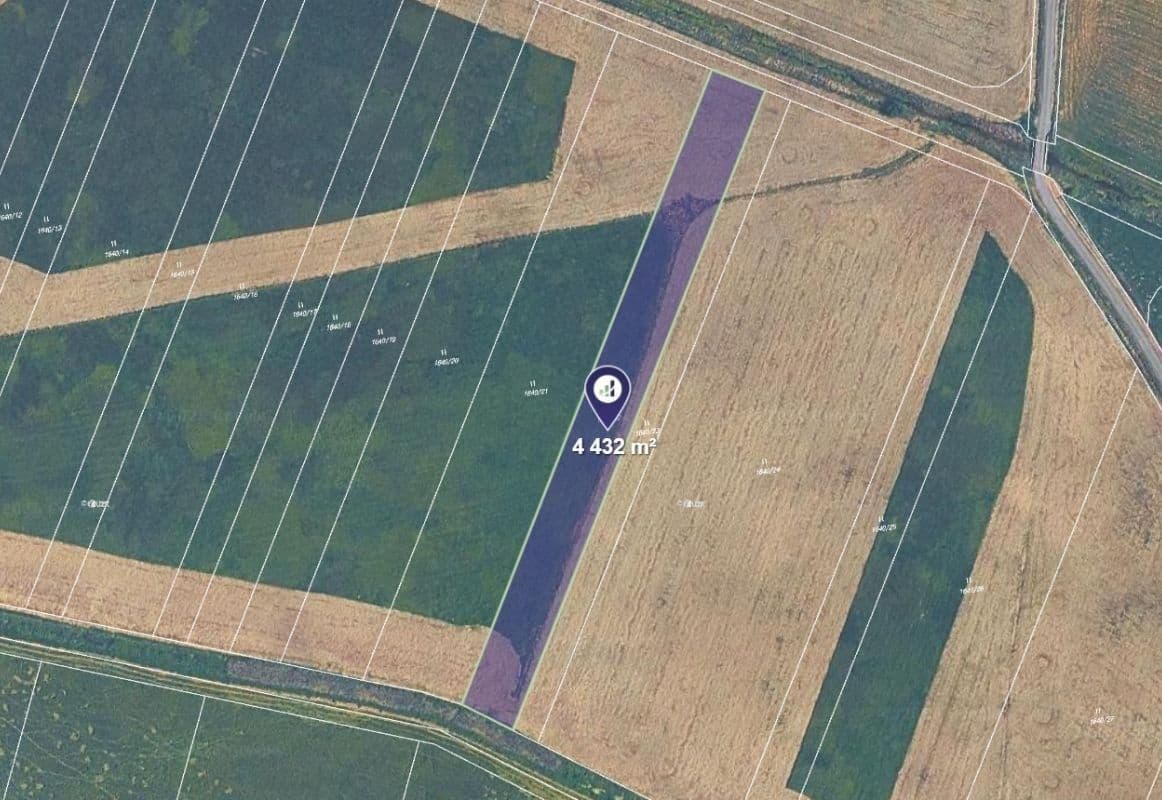 Prodej pozemku 4.432 m², Borkovice, Jihočeský kraj Prodej pozemku 4.432 m², Borkovice, Jihočeský kraj