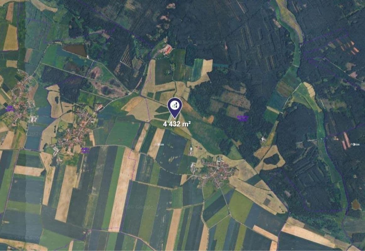 Prodej pozemku 4.432 m², Borkovice, Jihočeský kraj Prodej pozemku 4.432 m², Borkovice, Jihočeský kraj