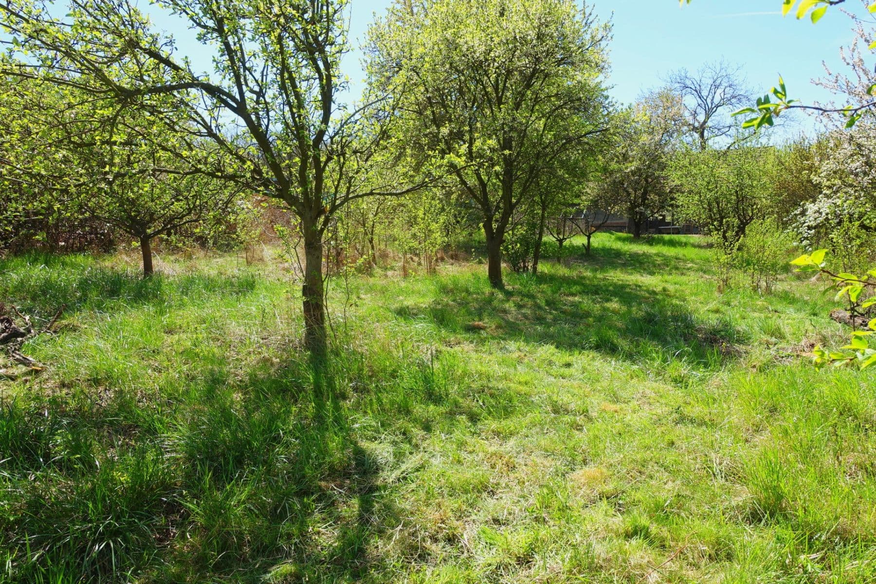 Prodej pozemku 801 m², Svinaře, Středočeský kraj Prodej pozemku 801 m², Svinaře, Středočeský kraj