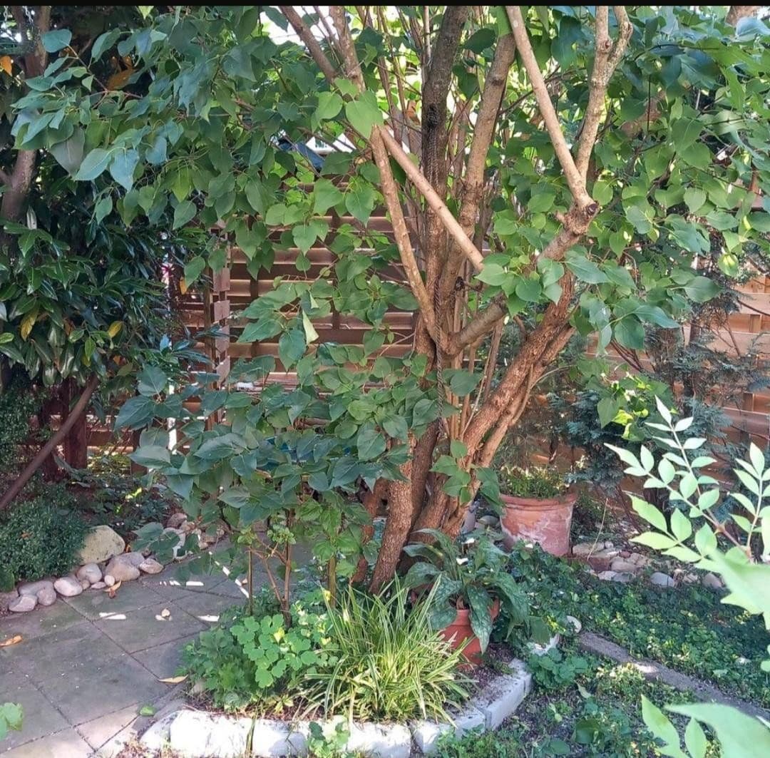 Pronájem domu 124 m², pozemek 150 m², Kaufering, Bavorsko Pronájem domu 124 m², pozemek 150 m², Kaufering, Bavorsko