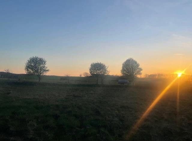 Prodej domu 140 m², pozemek 782 m², Wrixum, Šlesvicko-Holštýnsko Prodej domu 140 m², pozemek 782 m², Wrixum, Šlesvicko-Holštýnsko