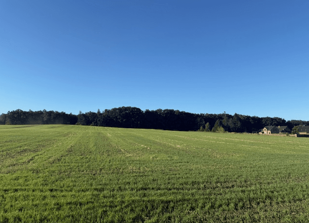 Prodej pozemku 646 m², Gillenmoor, Bispingen, Dolní Sasko Prodej pozemku 646 m², Gillenmoor, Bispingen, Dolní Sasko