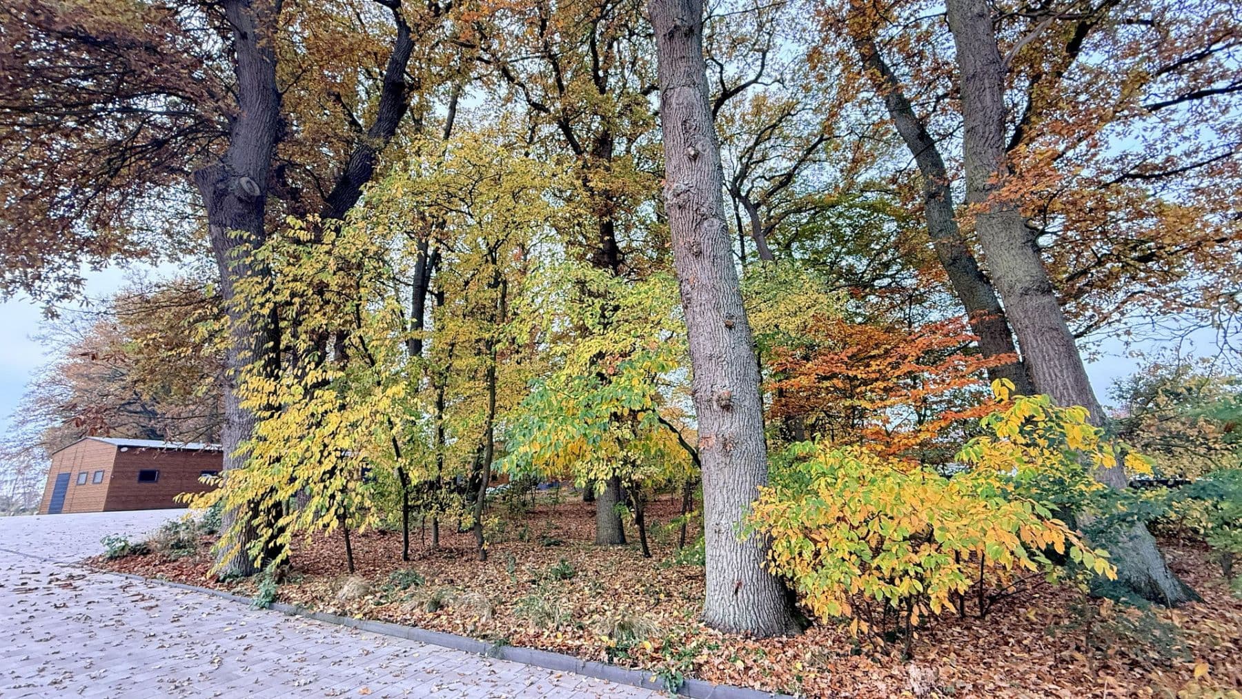 Prodej domu 877 m², pozemek 23.976 m², Balge, Dolní Sasko Prodej domu 877 m², pozemek 23.976 m², Balge, Dolní Sasko