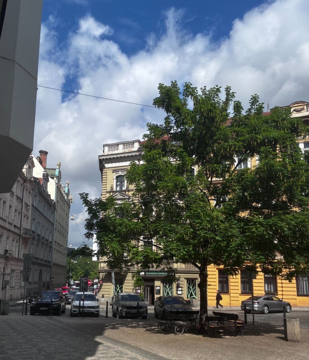 Pronájem bytu 4+kk 94 m², Pštrossova, Praha, Praha Pronájem bytu 4+kk 94 m², Pštrossova, Praha, Praha