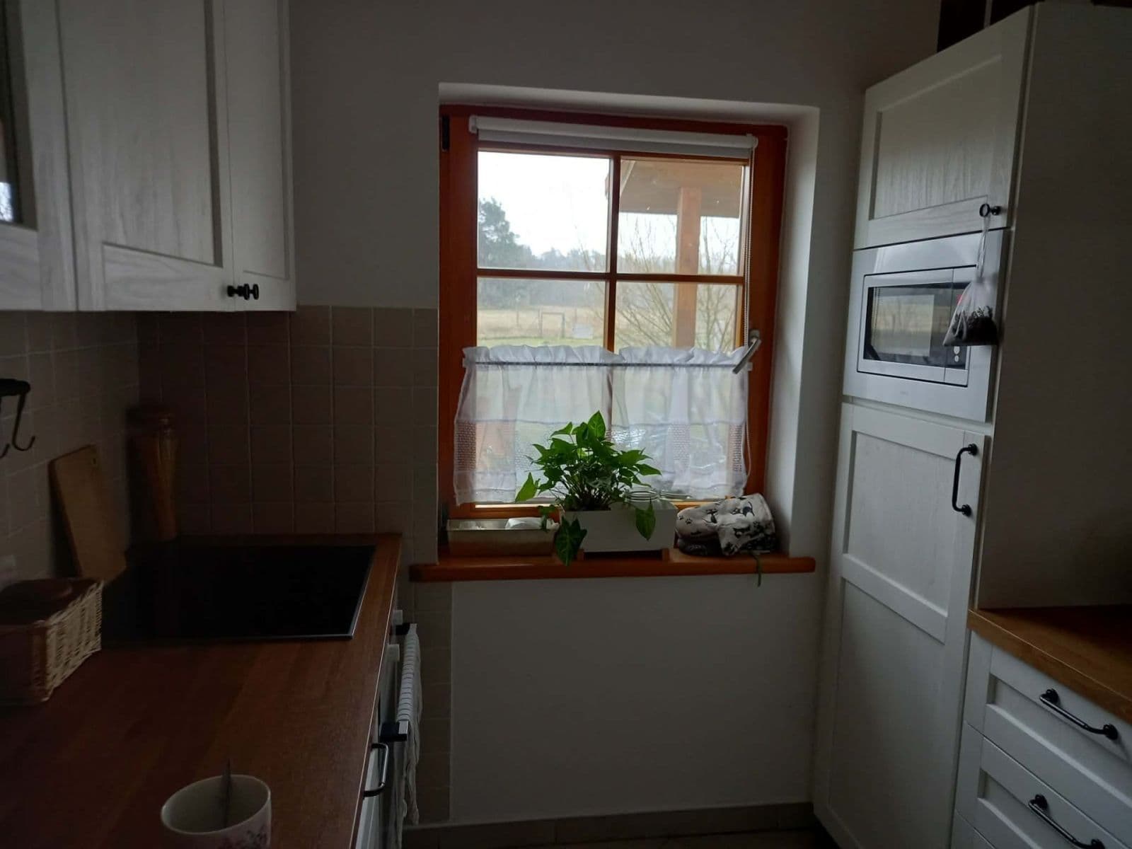 Prodej domu 110 m², pozemek 1.974 m², Holany, Liberecký kraj Prodej domu 110 m², pozemek 1.974 m², Holany, Liberecký kraj