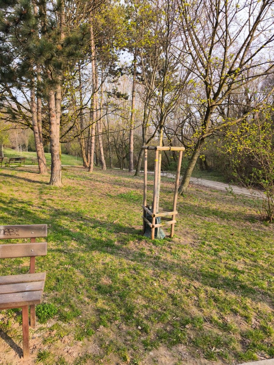 Prodej bytu 5+1 95 m², Púpavová, Karlova Ves, Bratislavský kraj Prodej bytu 5+1 95 m², Púpavová, Karlova Ves, Bratislavský kraj