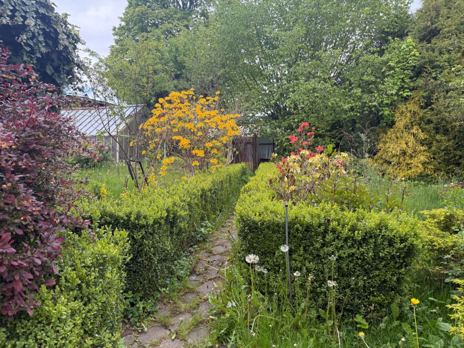 Prodej domu 120 m², pozemek 406 m², Růžová, Halže, Plzeňský kraj Prodej domu 120 m², pozemek 406 m², Růžová, Halže, Plzeňský kraj