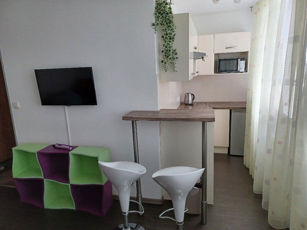 Pronájem bytu 1+kk 27 m², Bílinská, Praha, Praha Pronájem bytu 1+kk 27 m², Bílinská, Praha, Praha