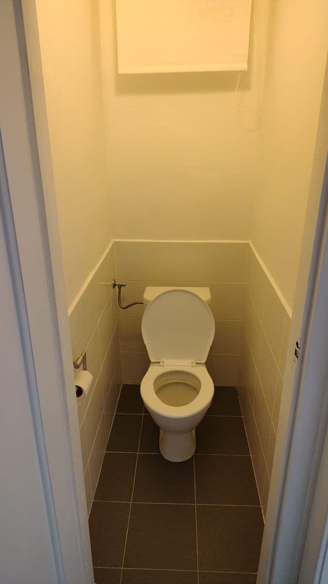 Pronájem bytu 2+1 73 m², Botanická, Brno, Jihomoravský kraj Pronájem bytu 2+1 73 m², Botanická, Brno, Jihomoravský kraj
