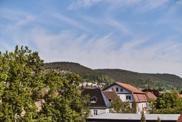 Pronájem bytu 2+1 62 m², Neustadt an der Weinstraße, Porýní-Falc Pronájem bytu 2+1 62 m², Neustadt an der Weinstraße, Porýní-Falc