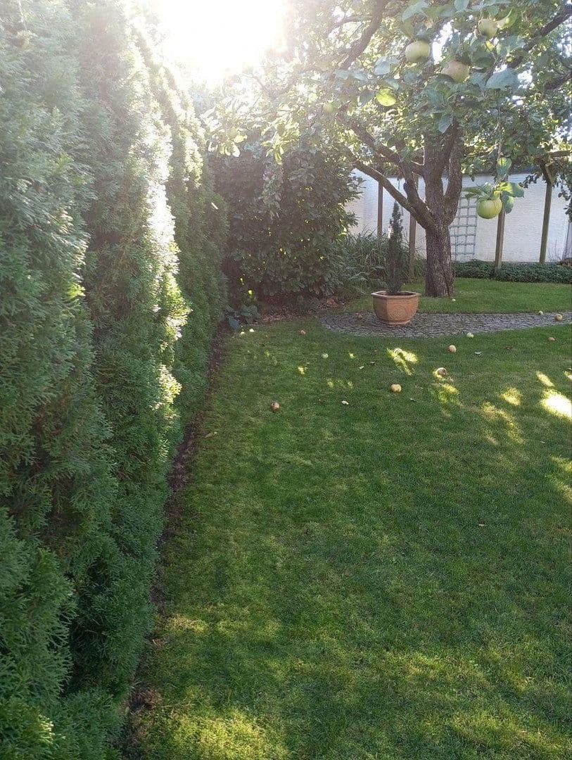 Prodej domu 317 m², pozemek 876 m², Burgkunstadt, Bavorsko Prodej domu 317 m², pozemek 876 m², Burgkunstadt, Bavorsko