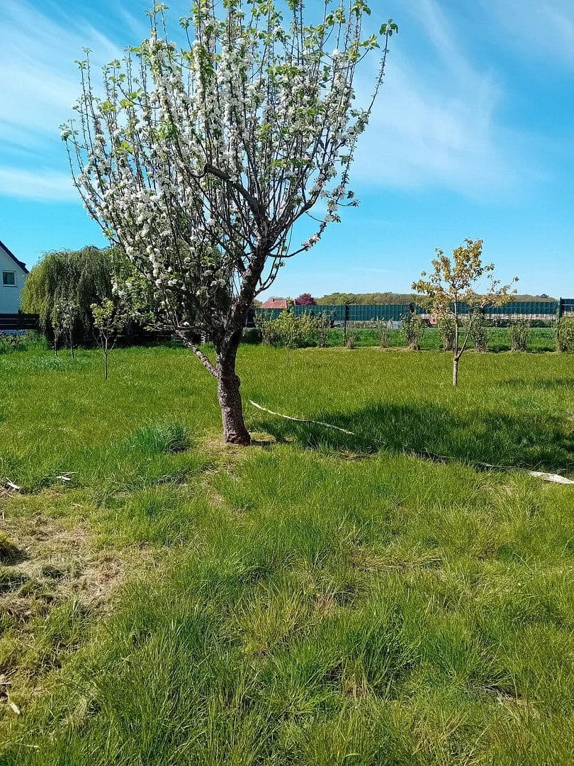 Prodej domu 175 m², pozemek 898 m², Spenge, Severní Porýní-Vestfálsko Prodej domu 175 m², pozemek 898 m², Spenge, Severní Porýní-Vestfálsko