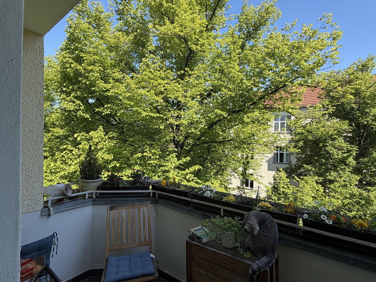 Prodej bytu 5+kk 124 m², Berlin, Berlín Prodej bytu 5+kk 124 m², Berlin, Berlín