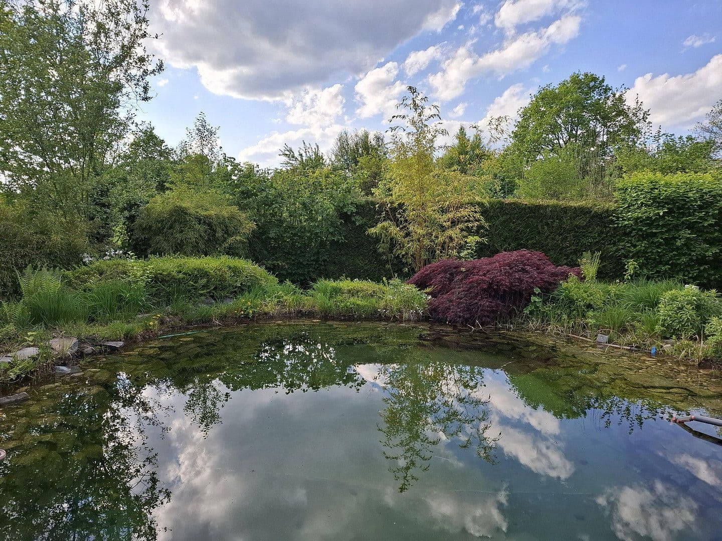 Prodej domu 240 m², pozemek 992 m², Weyerbusch, Porýní-Falc Prodej domu 240 m², pozemek 992 m², Weyerbusch, Porýní-Falc