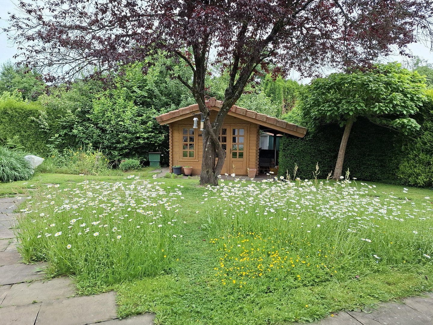 Prodej domu 240 m², pozemek 992 m², Weyerbusch, Porýní-Falc Prodej domu 240 m², pozemek 992 m², Weyerbusch, Porýní-Falc