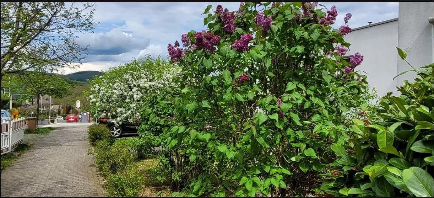 Pronájem bytu 3+kk 93 m², Waldallee 7.42, Eppstein, Hessen Pronájem bytu 3+kk 93 m², Waldallee 7.42, Eppstein, Hessen