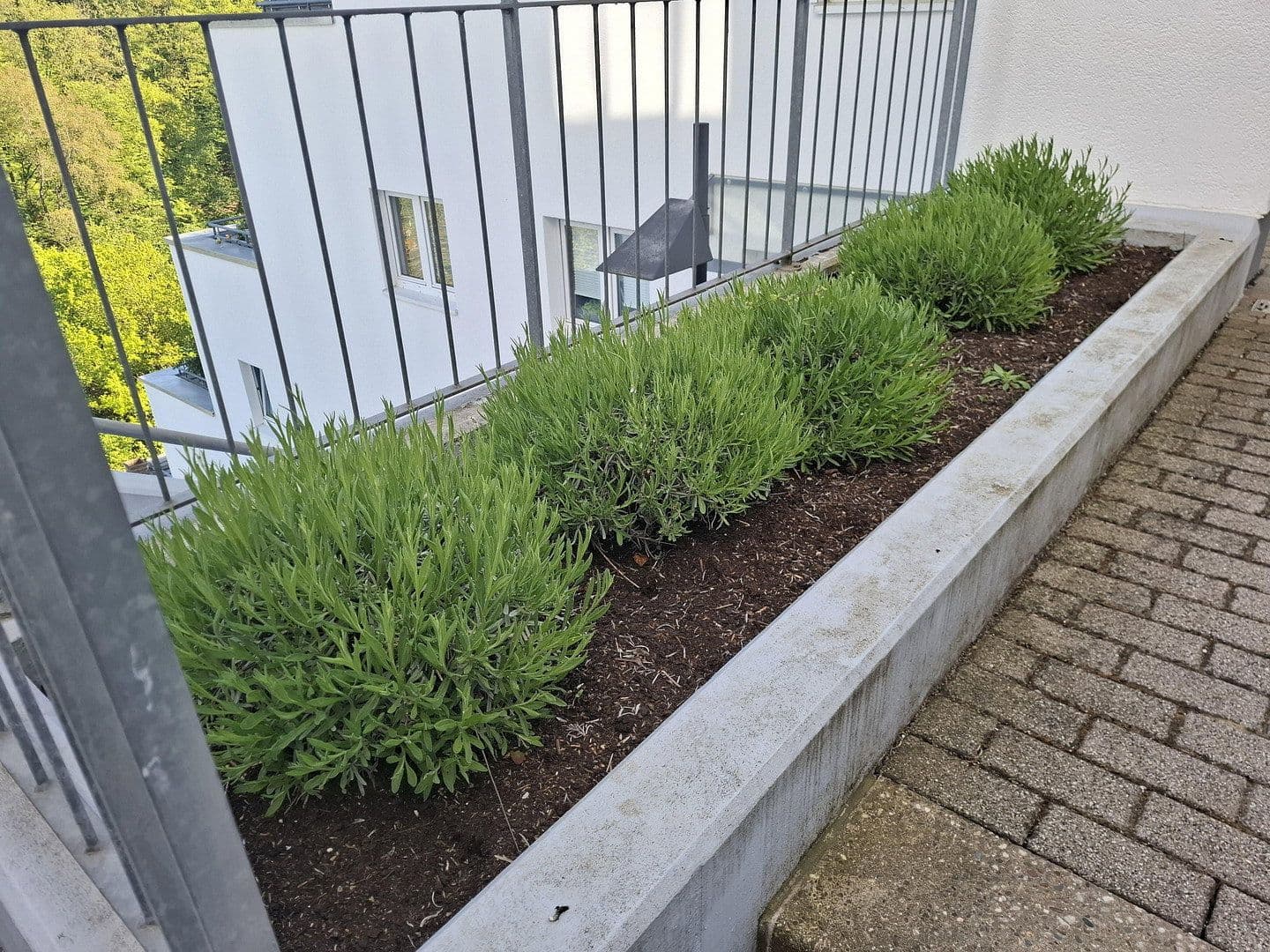 Pronájem bytu 3+kk 93 m², Waldallee 7.42, Eppstein, Hessen Pronájem bytu 3+kk 93 m², Waldallee 7.42, Eppstein, Hessen