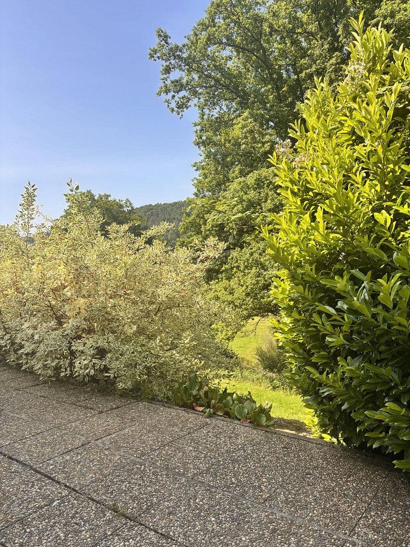 Pronájem domu 151 m², pozemek 598 m², Oberzent, Hessen Pronájem domu 151 m², pozemek 598 m², Oberzent, Hessen