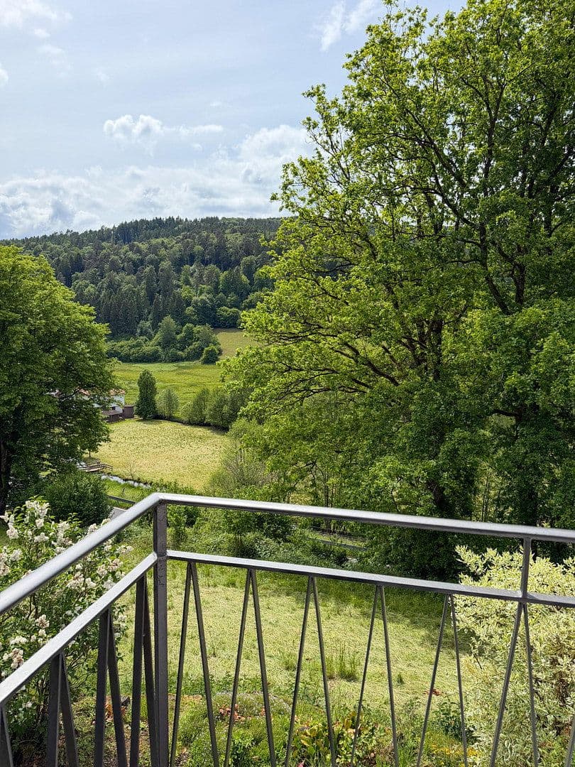 Pronájem domu 151 m², pozemek 598 m², Oberzent, Hessen Pronájem domu 151 m², pozemek 598 m², Oberzent, Hessen