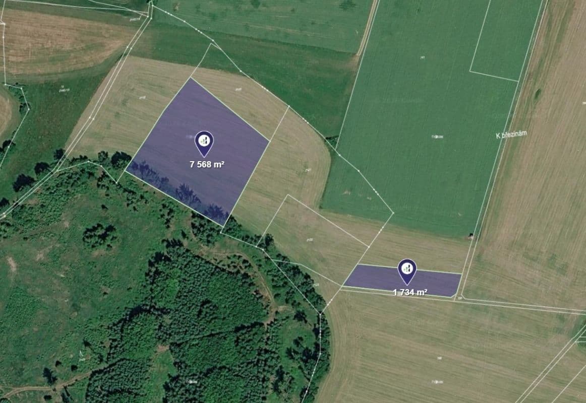 Prodej pozemku 21.890 m², Olešná, Kraj Vysočina Prodej pozemku 21.890 m², Olešná, Kraj Vysočina
