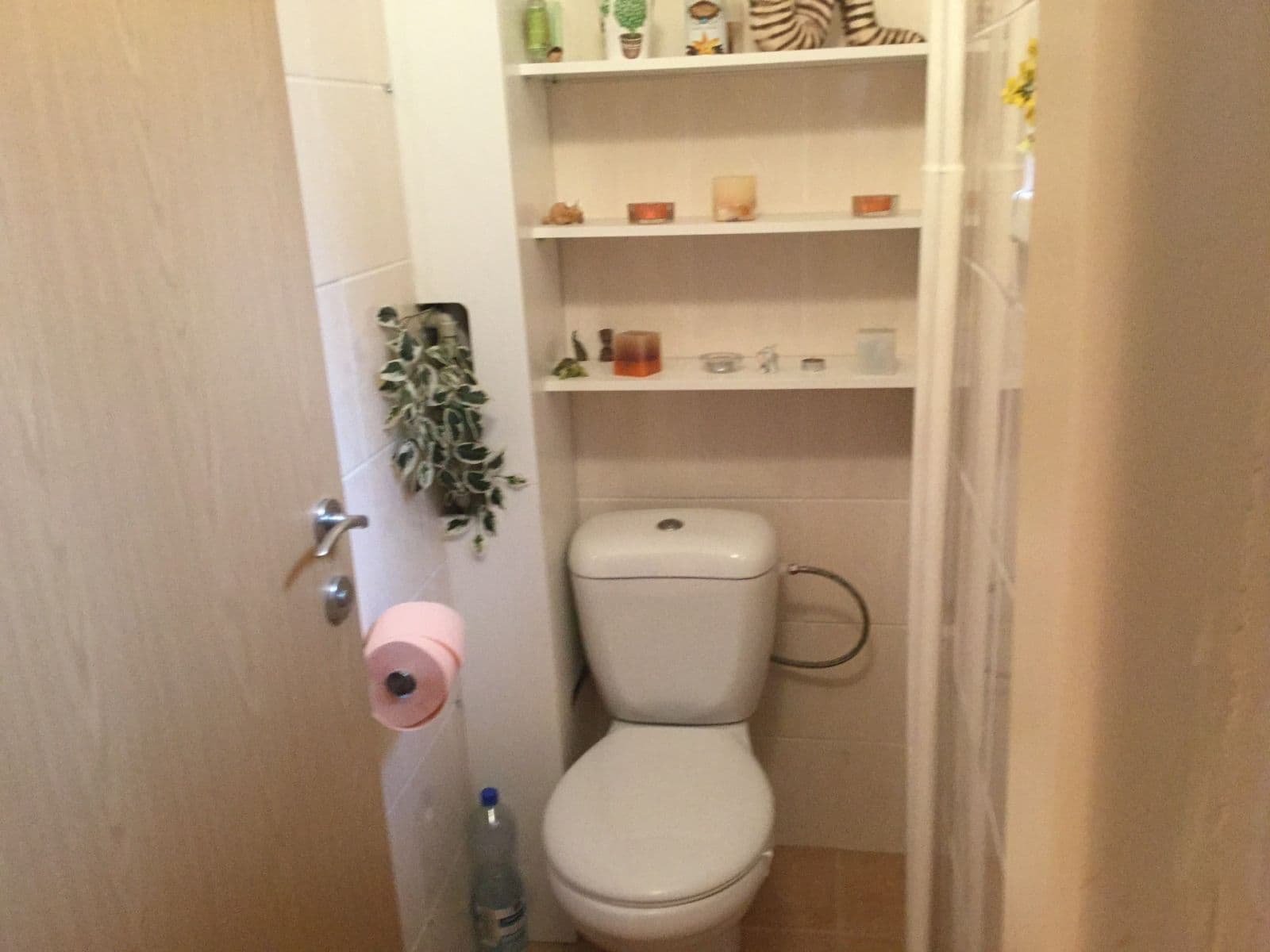 Pronájem bytu 2+1 60 m², Brožíkova, Plzeň, Plzeňský kraj Pronájem bytu 2+1 60 m², Brožíkova, Plzeň, Plzeňský kraj