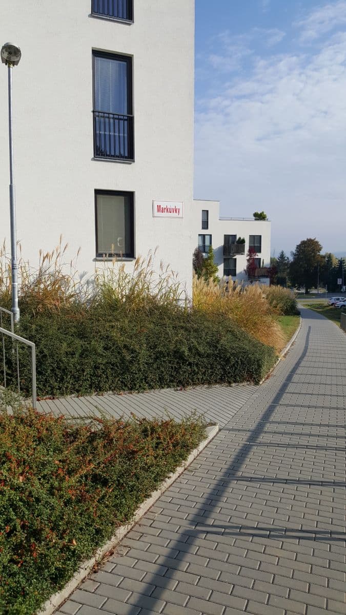 Pronájem bytu 1+kk 25 m², Markůvky, Brno, Jihomoravský kraj Pronájem bytu 1+kk 25 m², Markůvky, Brno, Jihomoravský kraj
