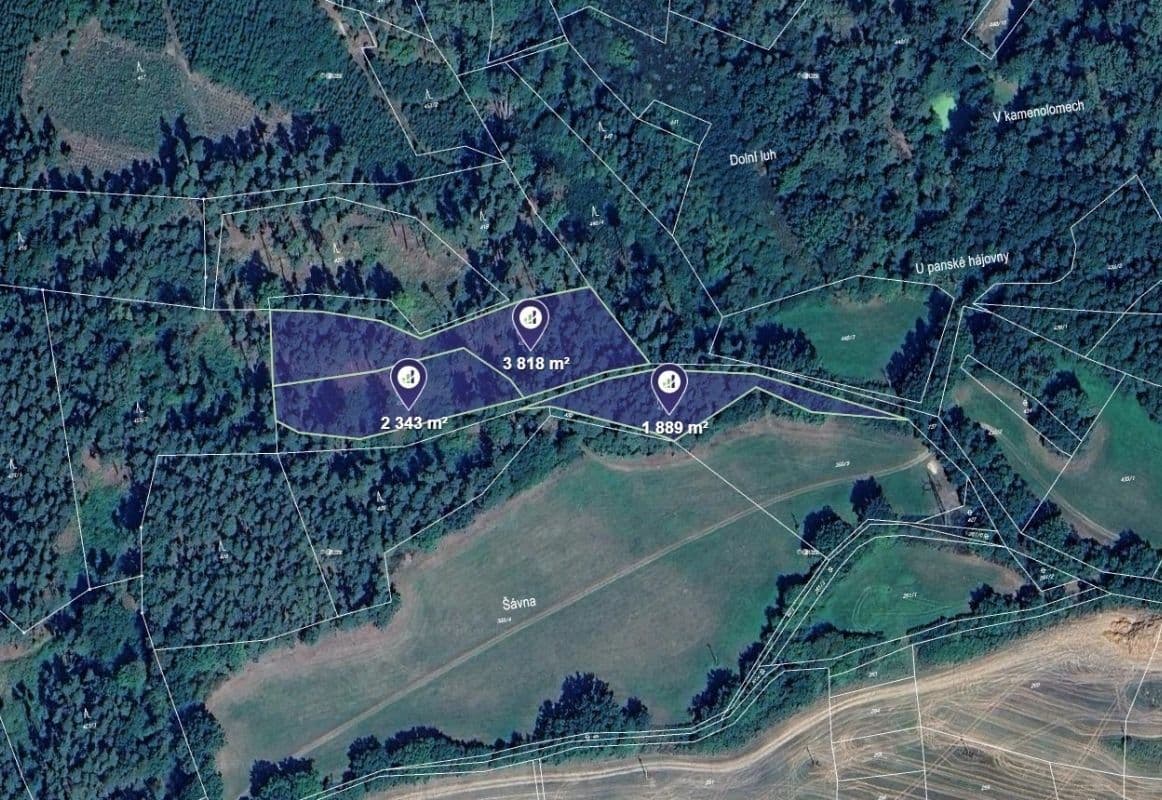 Prodej pozemku 10.026 m², Maňovice, Plzeňský kraj Prodej pozemku 10.026 m², Maňovice, Plzeňský kraj