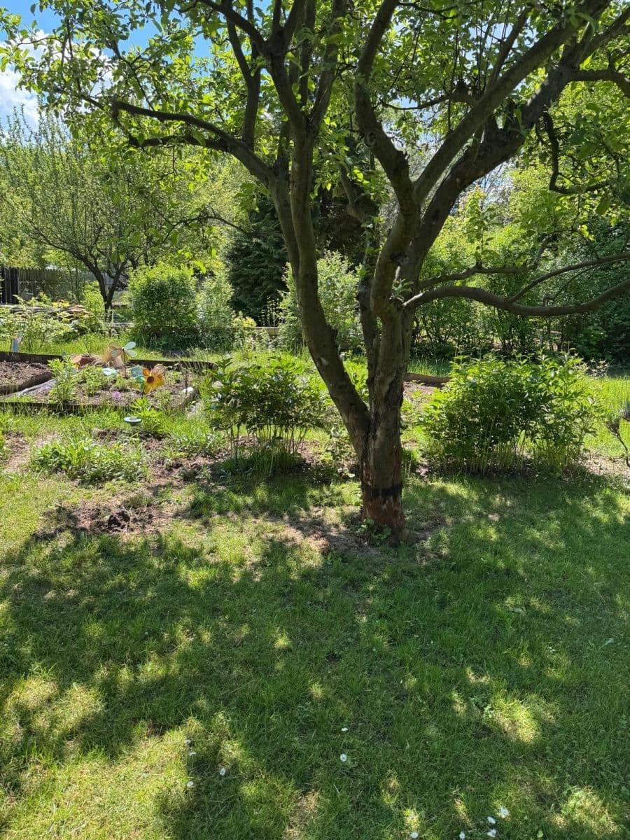 Prodej chaty, chalupy 18 m², pozemek 400 m², Bohdanečská, Praha, Praha Prodej chaty, chalupy 18 m², pozemek 400 m², Bohdanečská, Praha, Praha