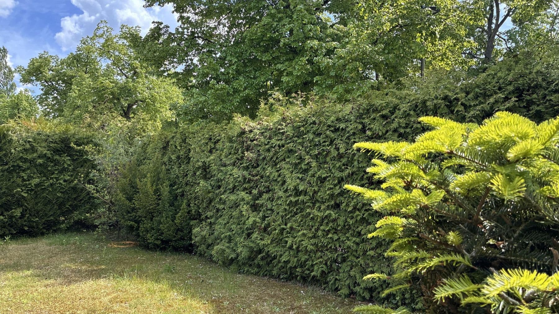 Pronájem domu 100 m², pozemek 780 m², Eichwalde, Braniborsko Pronájem domu 100 m², pozemek 780 m², Eichwalde, Braniborsko