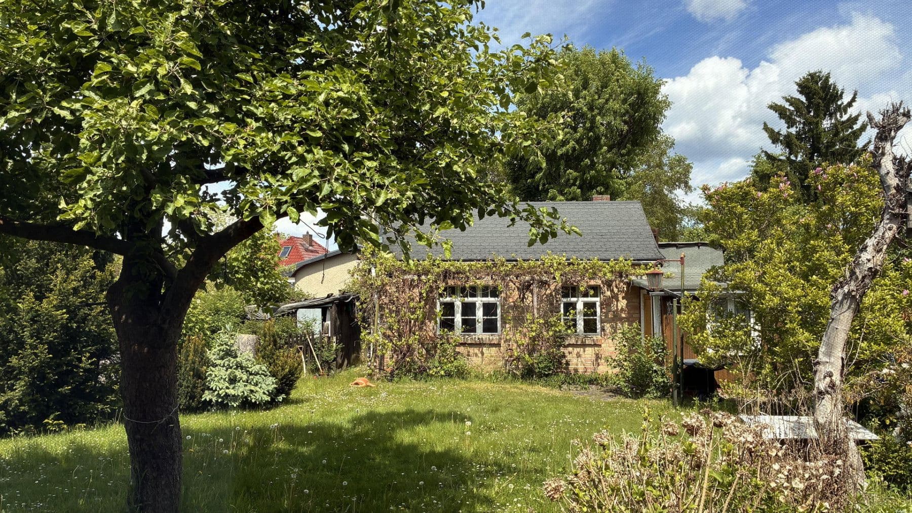 Pronájem domu 100 m², pozemek 780 m², Eichwalde, Braniborsko Pronájem domu 100 m², pozemek 780 m², Eichwalde, Braniborsko