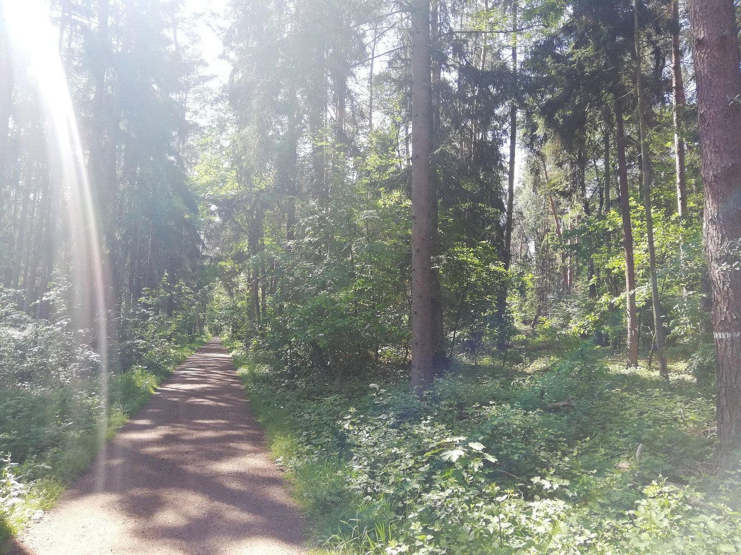 Pronájem bytu 3+1 89 m², Rödermark, Hessen Pronájem bytu 3+1 89 m², Rödermark, Hessen