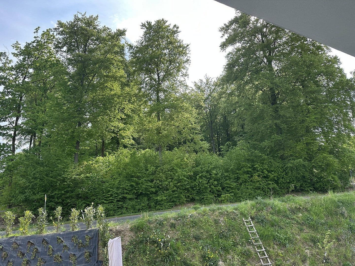 Prodej bytu 3+1 92 m², Buchenweg 5, Rengsdorf, Porýní-Falc Prodej bytu 3+1 92 m², Buchenweg 5, Rengsdorf, Porýní-Falc