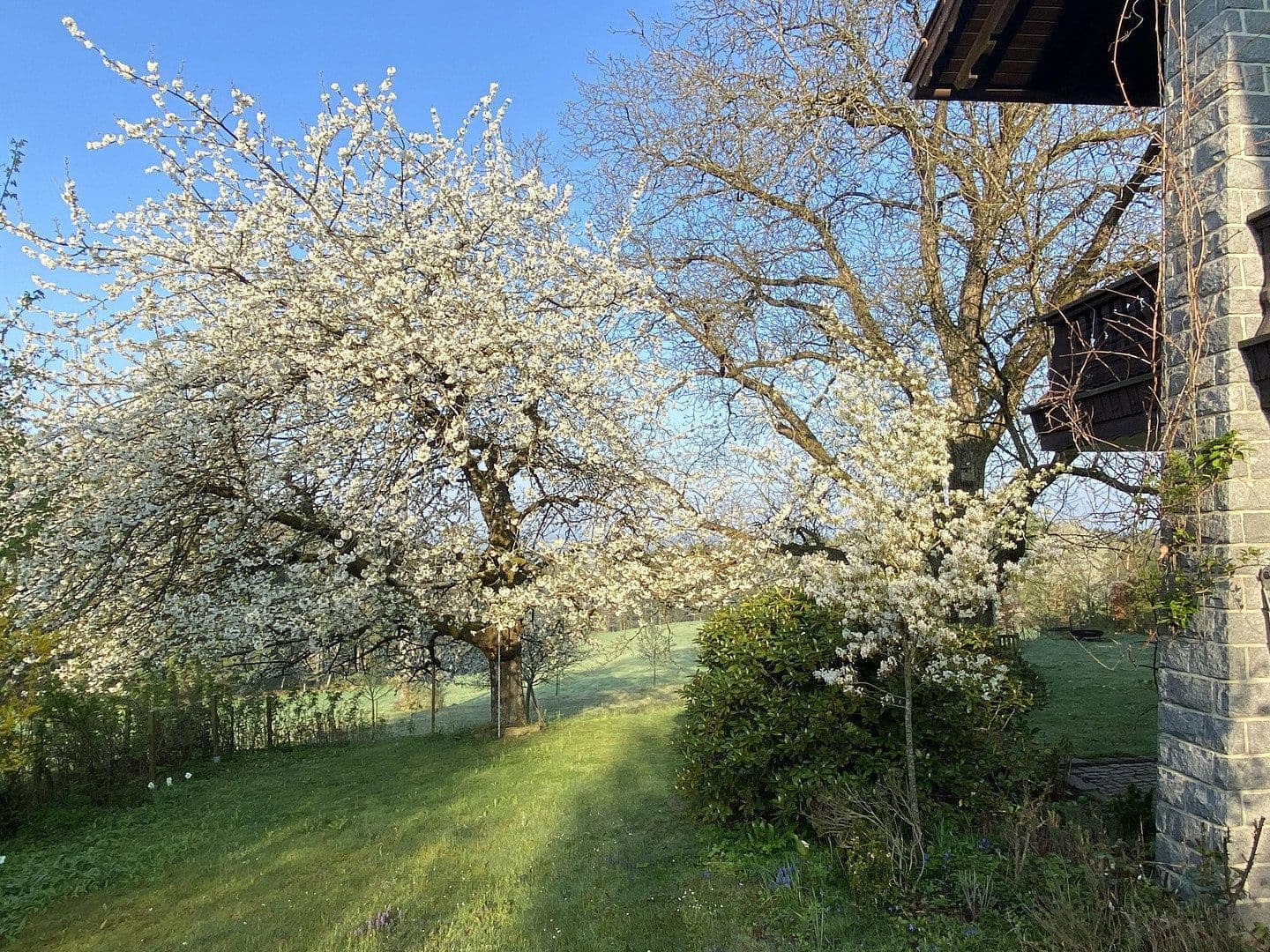 Prodej domu 189 m², pozemek 2.000 m², Fürstenstein, Bavorsko Prodej domu 189 m², pozemek 2.000 m², Fürstenstein, Bavorsko