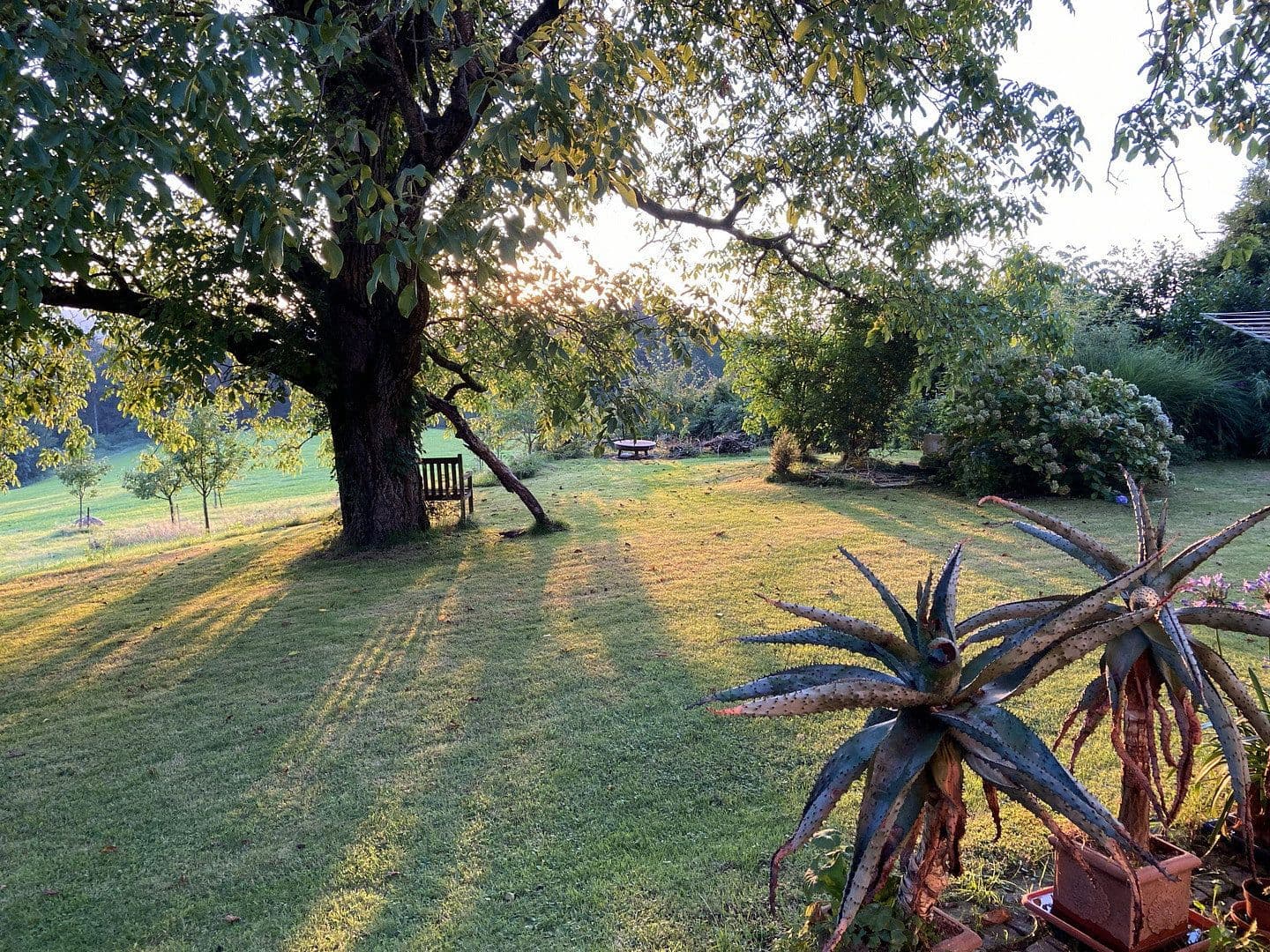Prodej domu 189 m², pozemek 2.000 m², Fürstenstein, Bavorsko Prodej domu 189 m², pozemek 2.000 m², Fürstenstein, Bavorsko