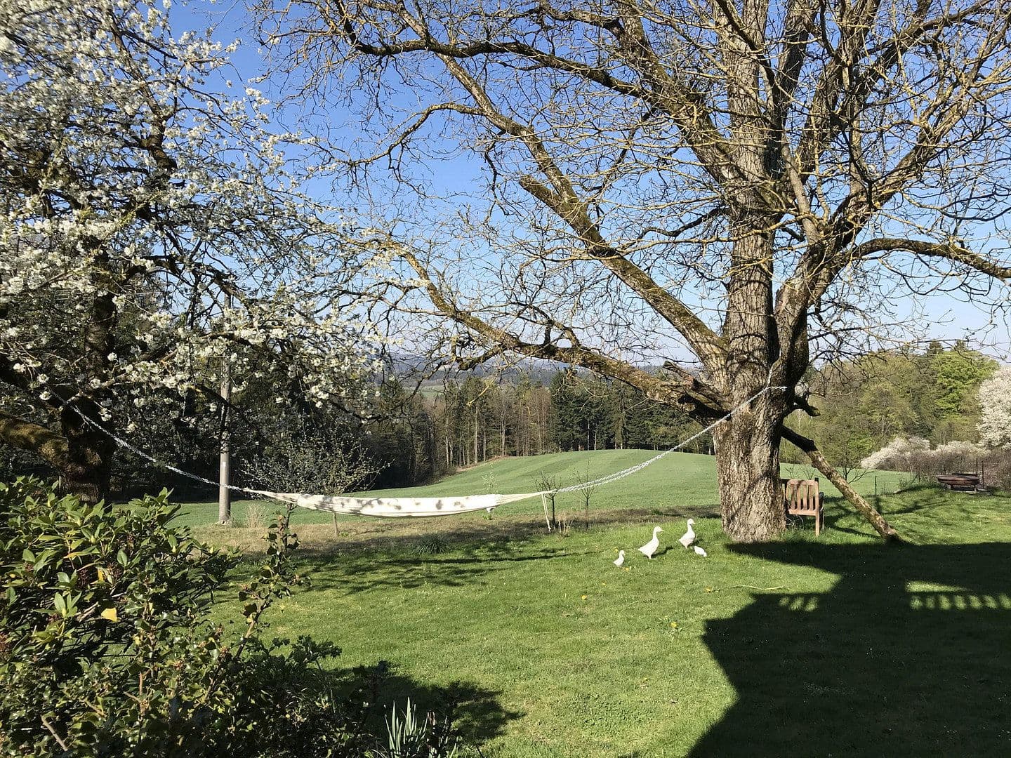 Prodej domu 189 m², pozemek 2.000 m², Fürstenstein, Bavorsko Prodej domu 189 m², pozemek 2.000 m², Fürstenstein, Bavorsko