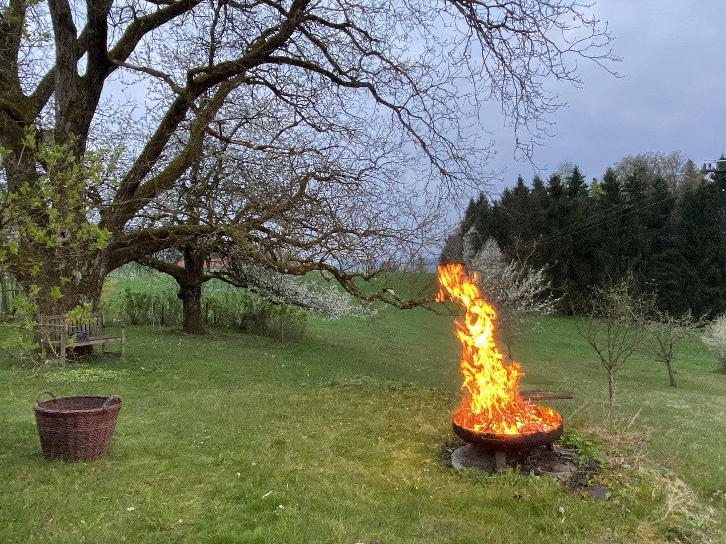 Prodej domu 189 m², pozemek 2.000 m², Fürstenstein, Bavorsko Prodej domu 189 m², pozemek 2.000 m², Fürstenstein, Bavorsko